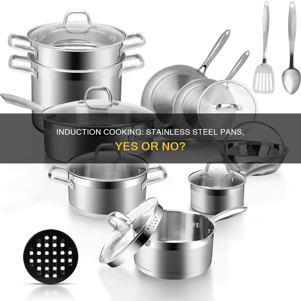 can I use stainless steel pans on an induction hob