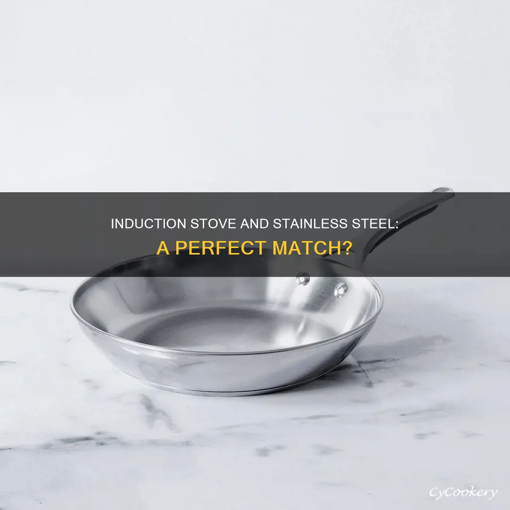 can I use stainless steel pans on induction stove