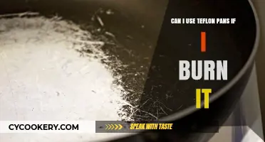Teflon Pans: Can You Use Them After Burning?