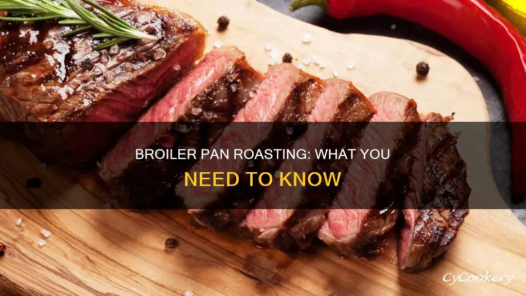 can I use the broiler pan to roast
