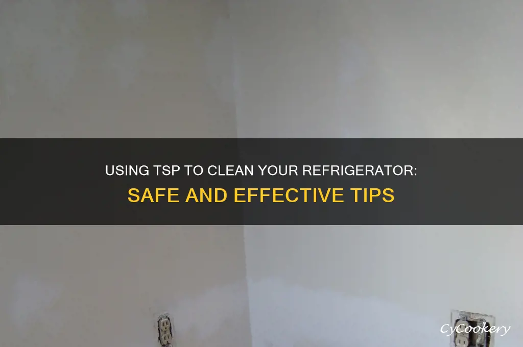 can i use tsp to clean refrigerator