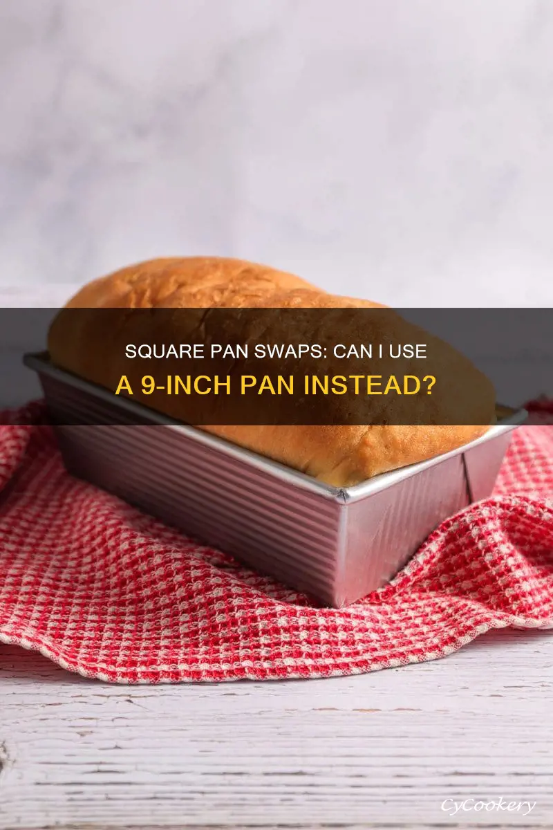 can I use use 9 inch pan instead of 9x9