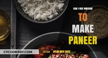 The Magic of Vinegar: Making Perfect Paneer