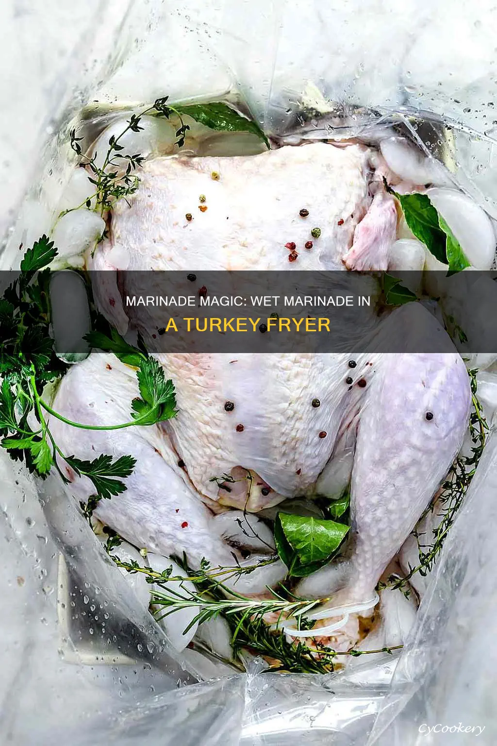 can i use wet marinade for big easy turkey fryer