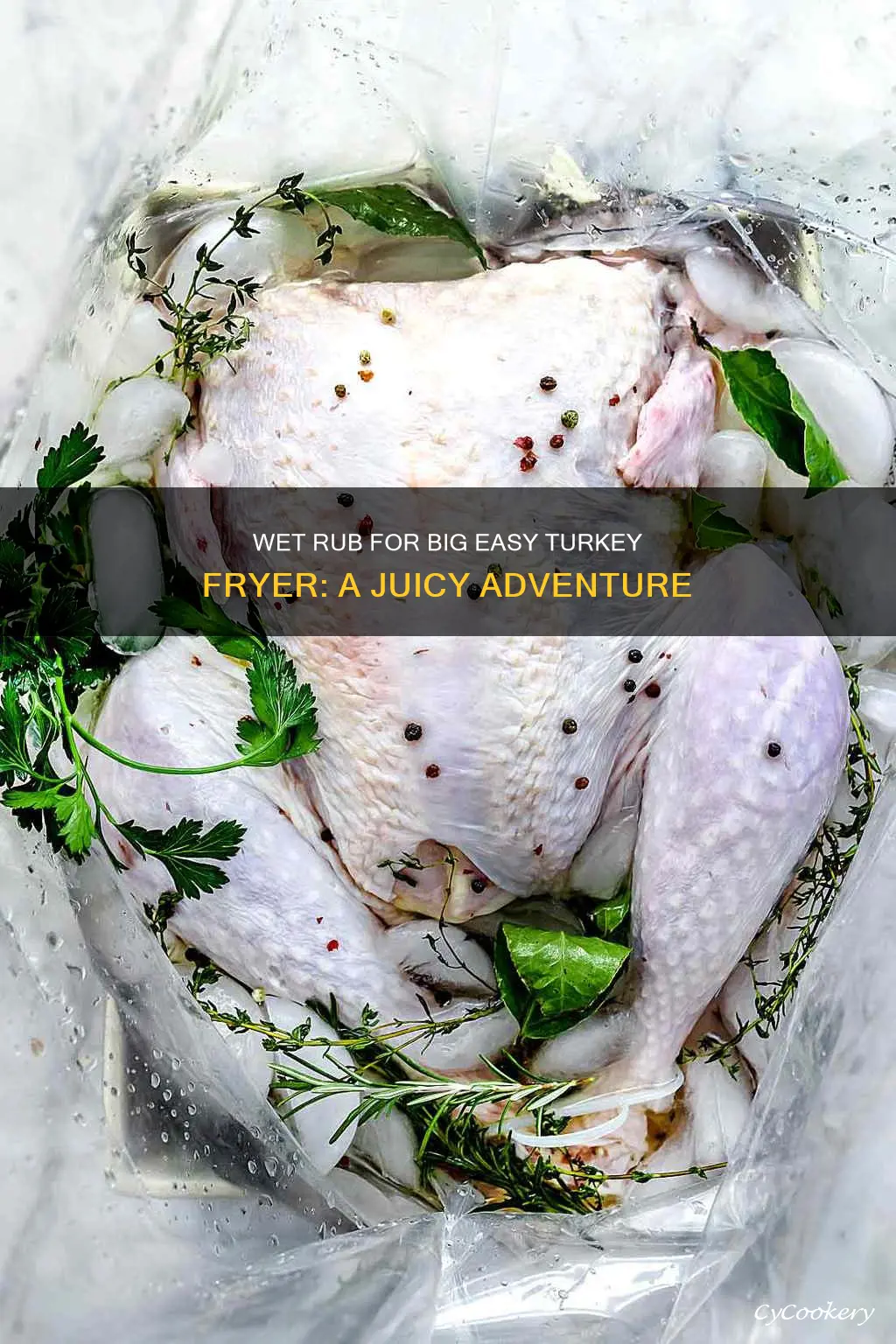 can i use wet rub for big easy turkey fryer