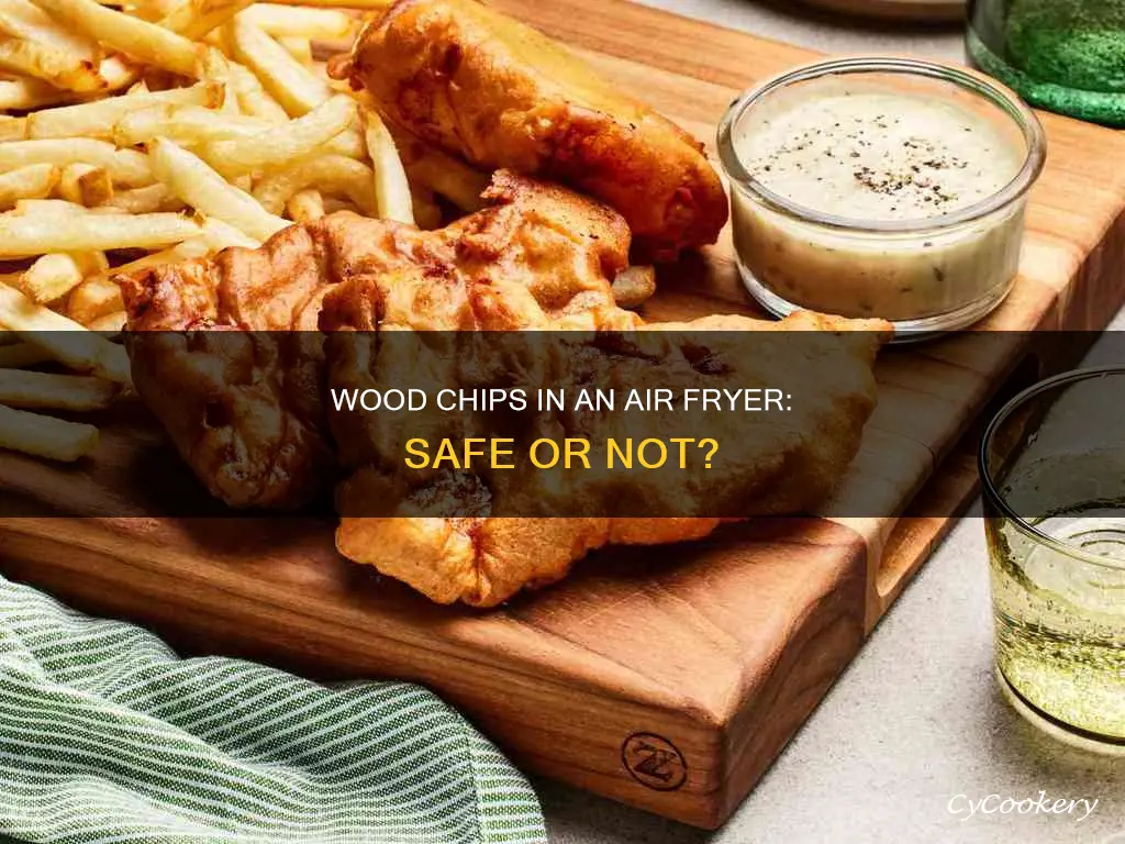 can i use wood chips in my oiless fryer