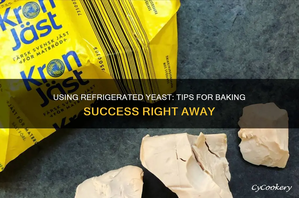 can i use yeast straight from the refrigerator