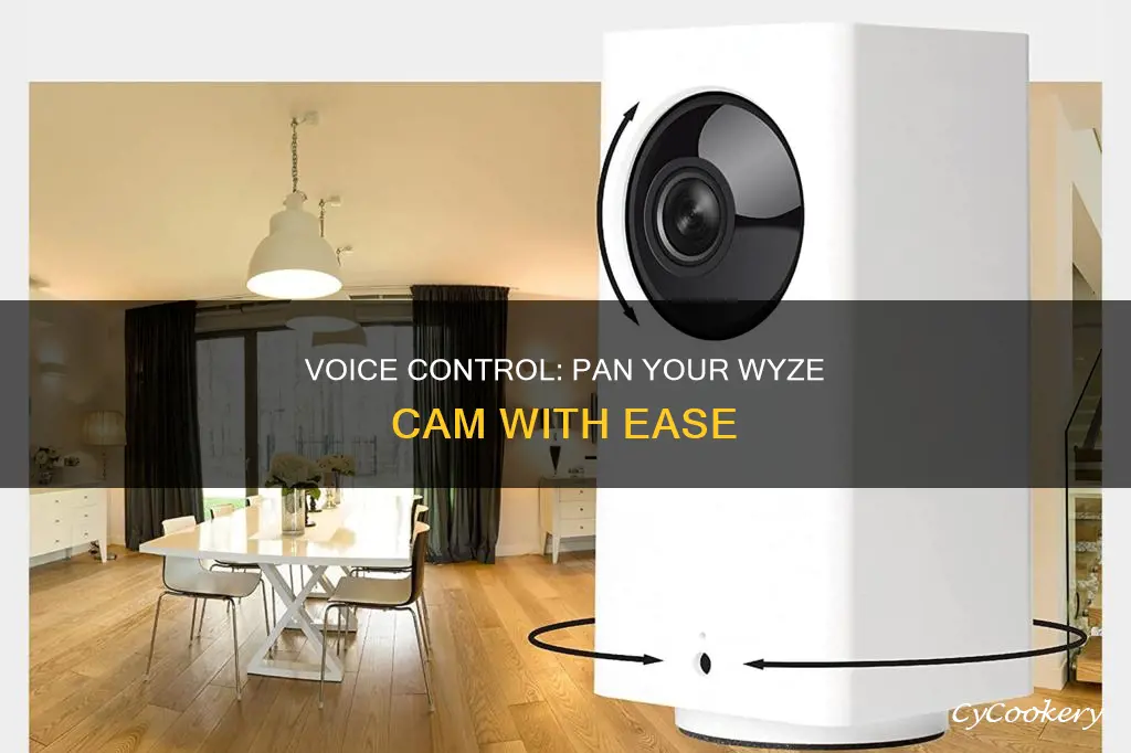 can I voice pan camera wyze
