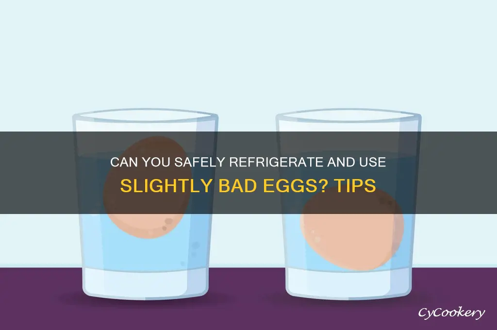 can i wadh shitty eggscabd put in refrigerator
