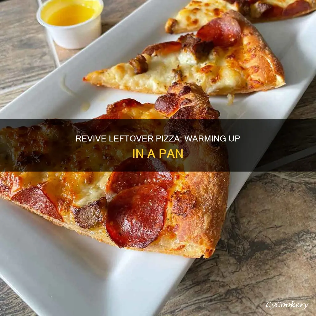 can I warm up pizza in a pan