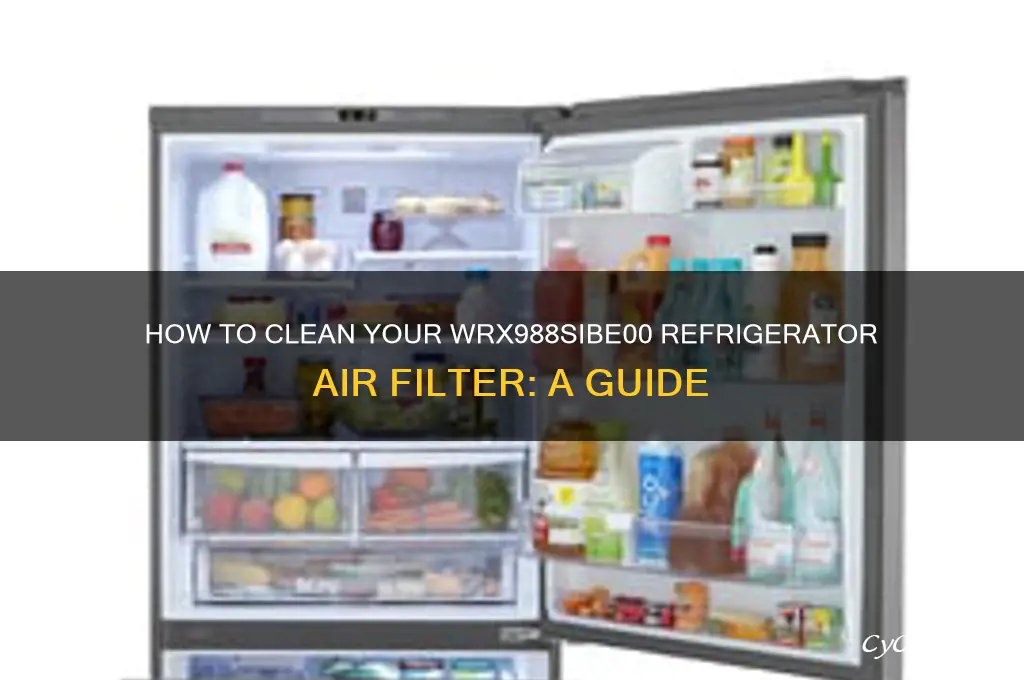can i wash off a wrx988sibe00 refrigerator air filter