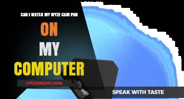 Wyze Cam Pan: Computer Viewing Options Explored