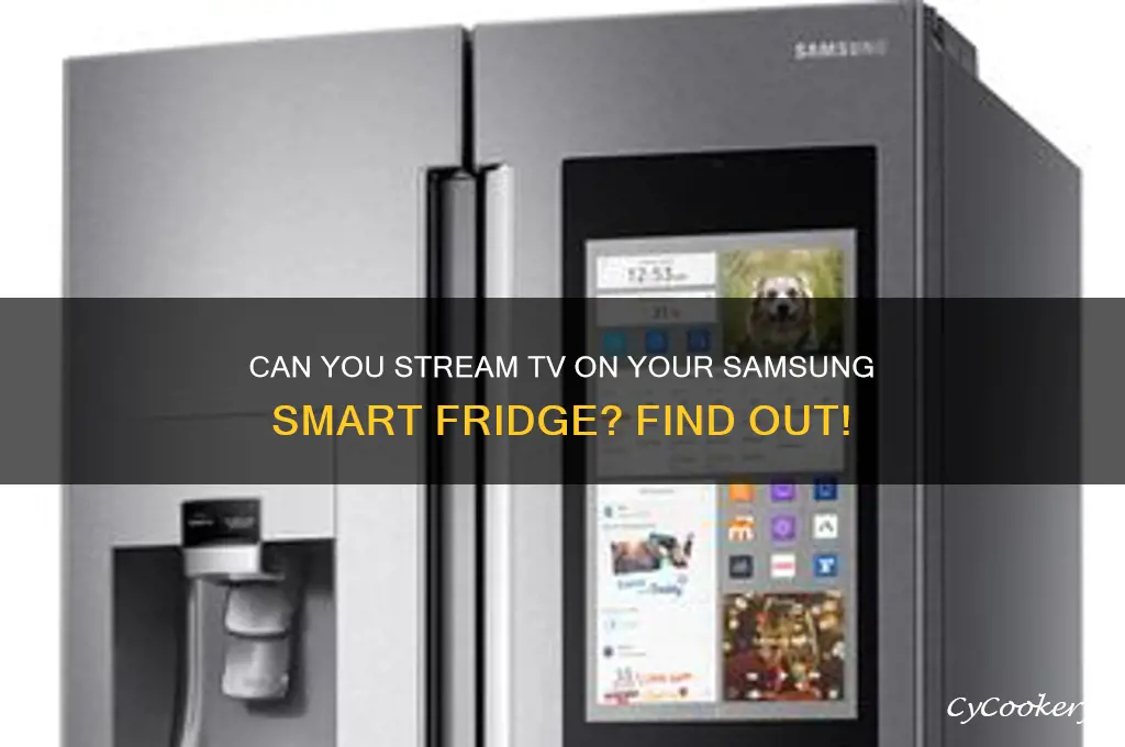 can i watch tv on my samsung refrigerator