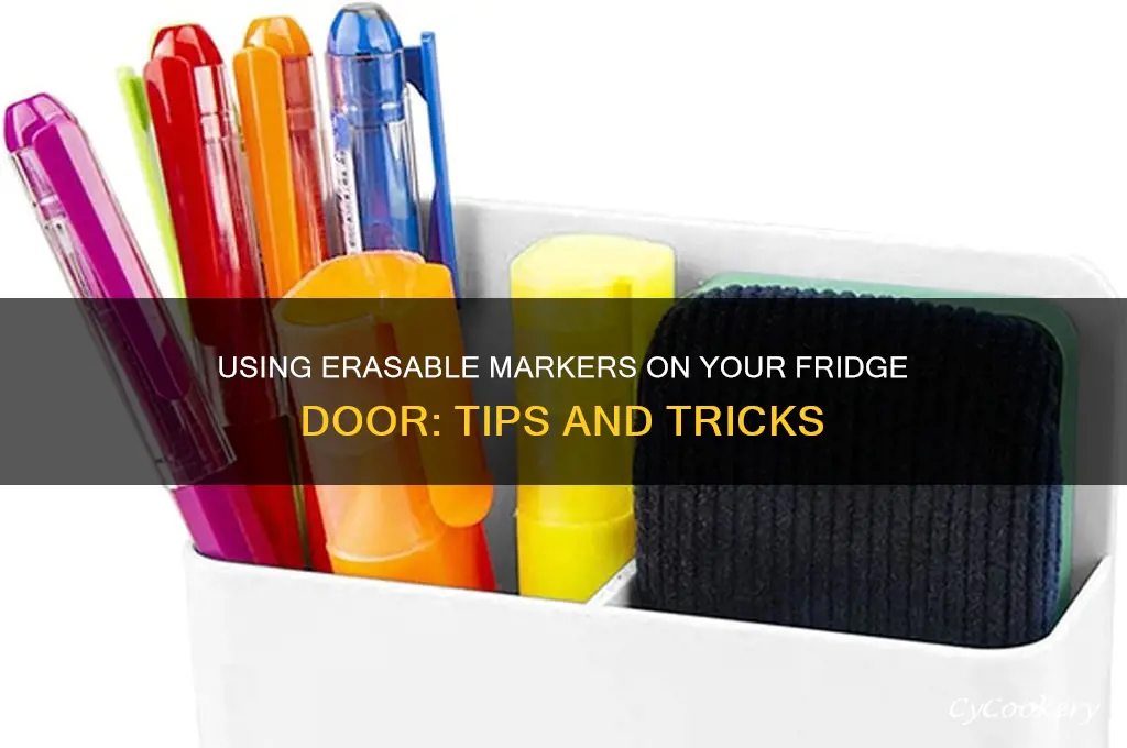 can i write on my refrigerator door with erase markers