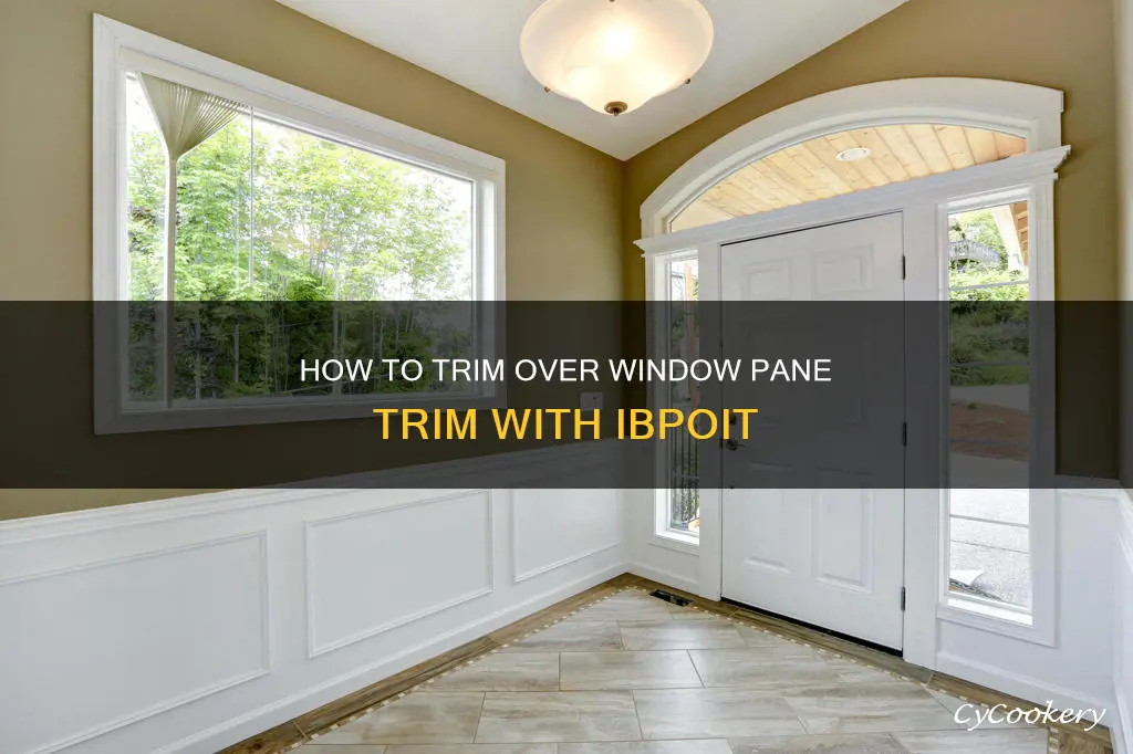 can ibpit trim over existing window pane trime
