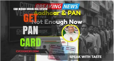 US Citizens of Indian Origin: Getting a PAN Card