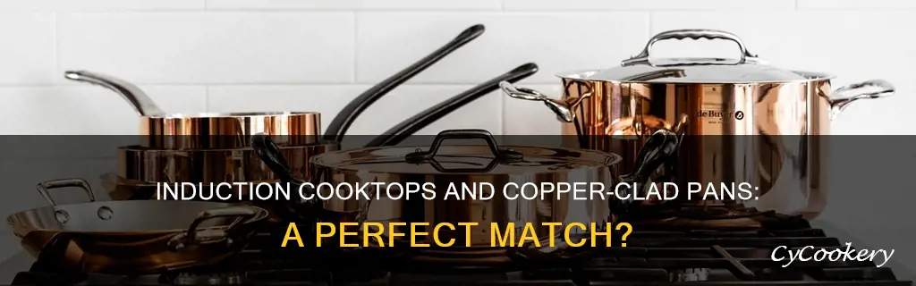 can inductaon cook top support copper clad pans