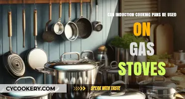 Induction Cooking Pans: Compatible with Gas Stoves?