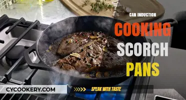 Induction Cooking: Do Pans Get Scorched?