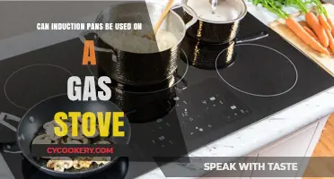 Induction Pans: Gas Stove Compatible?