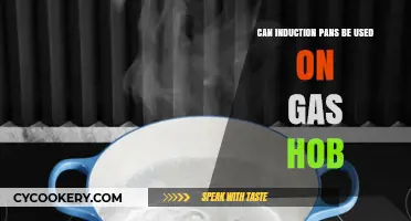 Induction Pans: Gas Hob Compatible?