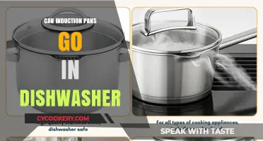 Induction Pans: Dishwasher-Safe or Not?