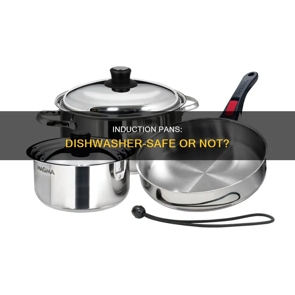 can induction pans go in dishwasher