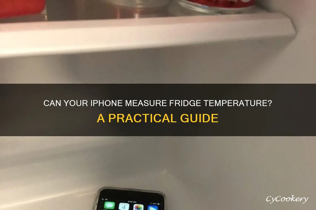 can iphone test the temperature in a refrigerator