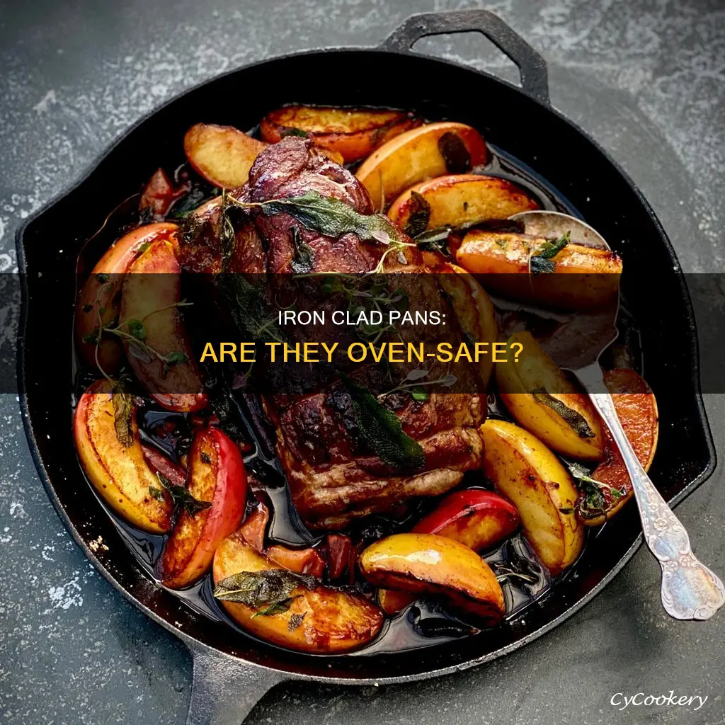 can iron clad pans go in the oven
