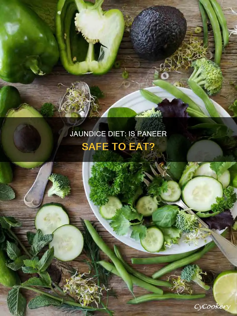 can jaundice patient eat paneer