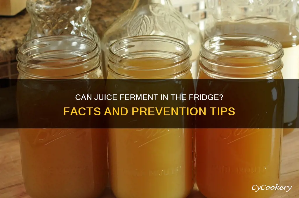 can juice ferment in the refrigerator
