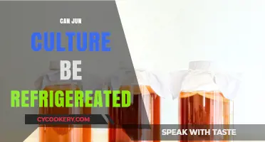 Can Jun Culture Be Refrigerated? Exploring Preservation Methods for Fermented Drinks