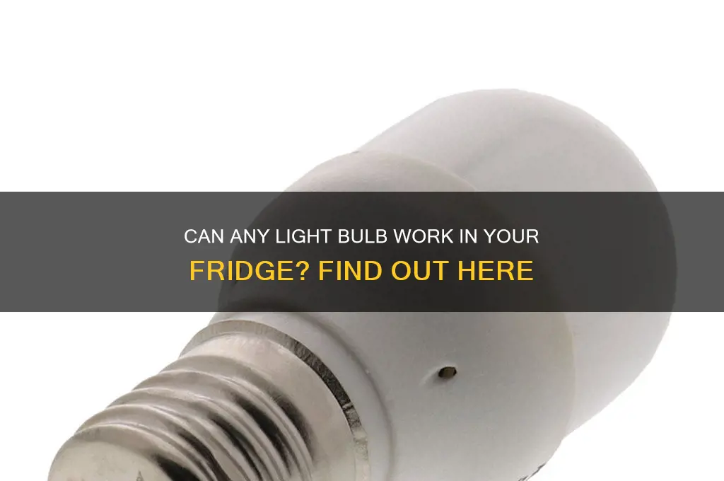 can just any light bulb be placed in a refrigerator