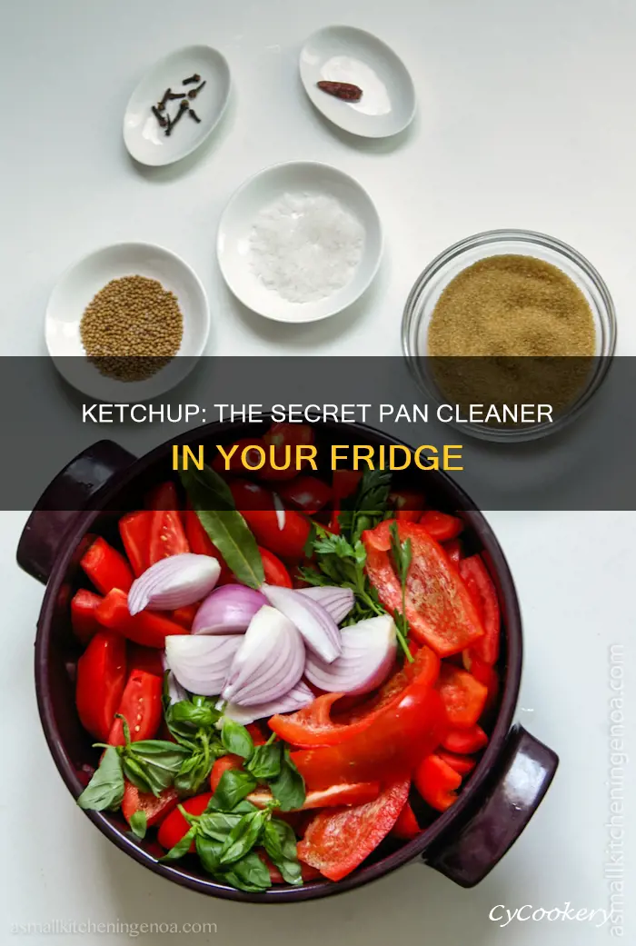 can ketchup clean pans