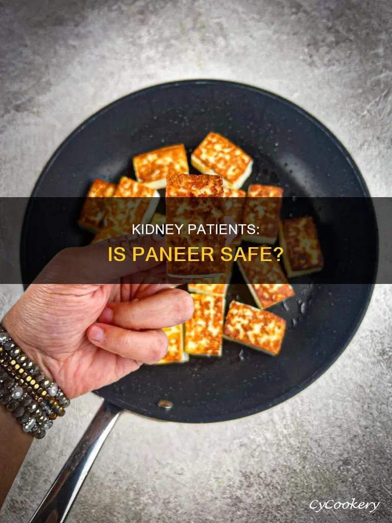 can kidney patient eat paneer