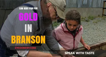 Gold Panning in Branson: A Fun Activity for Kids