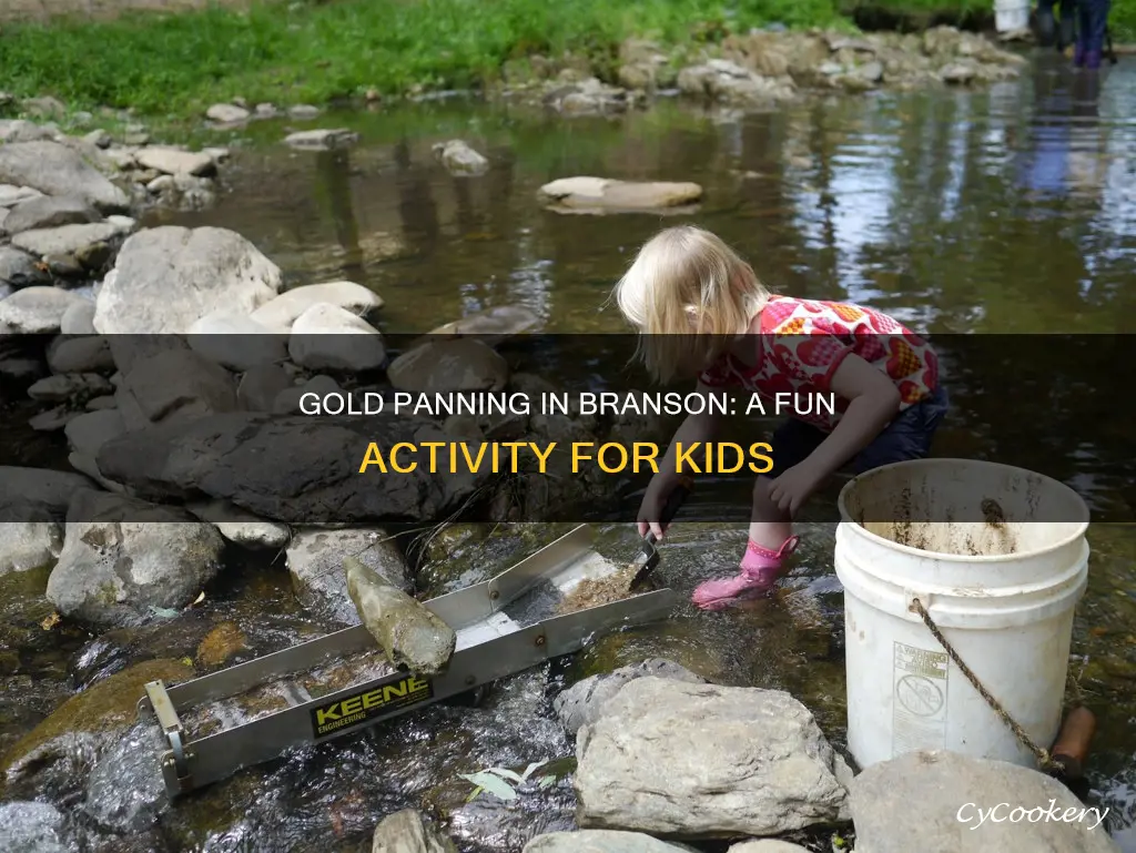 can kids pan for gold in branson