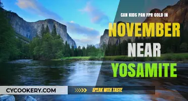 Panning for Gold: A Fun Family Adventure in Yosemite