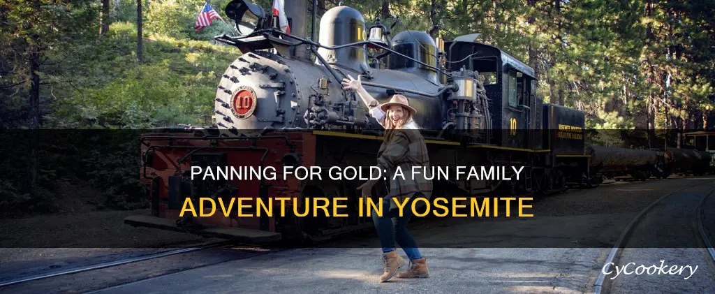 can kids pan fpr gold in november near yosamite