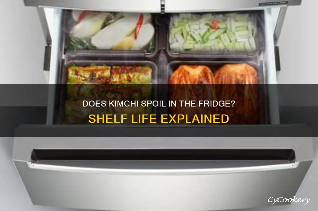 can kimchi go bad in the refrigerator