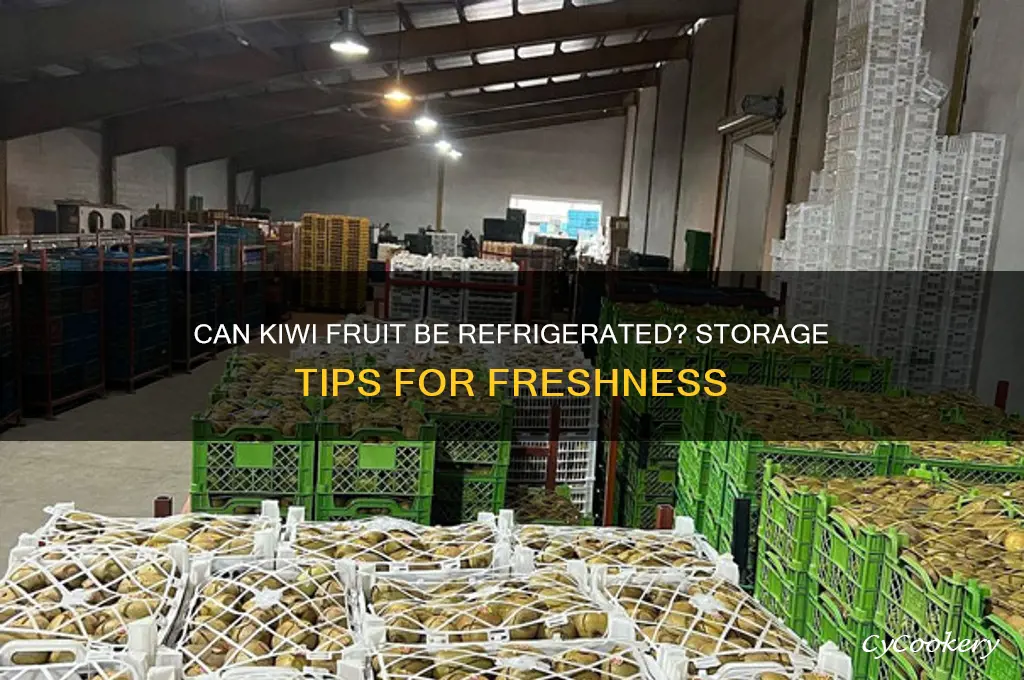can kiwi fruit be refrigerated