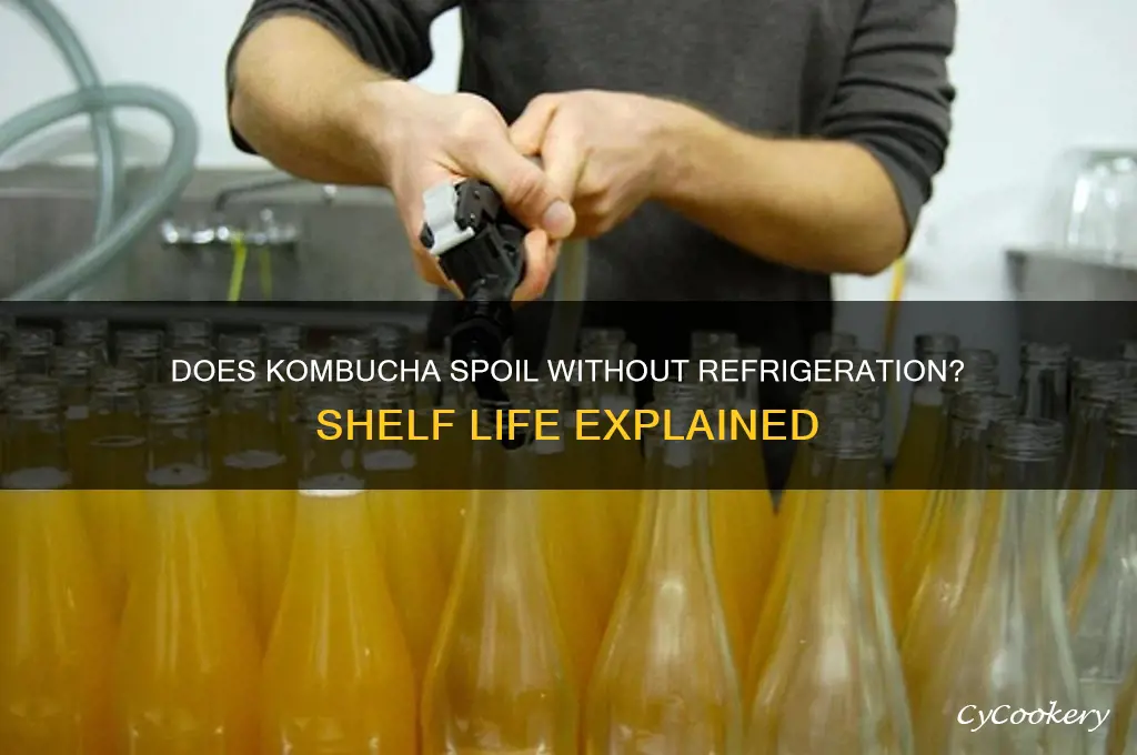can kombucha go bad if not refrigerated