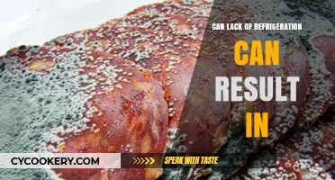 Lack of Refrigeration: Consequences for Food Safety and Health Risks