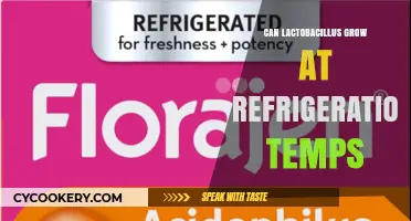 Can Lactobacillus Thrive in Your Fridge? Exploring Refrigeration Growth