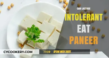 Lactose Intolerant and Paneer: What's the Verdict?