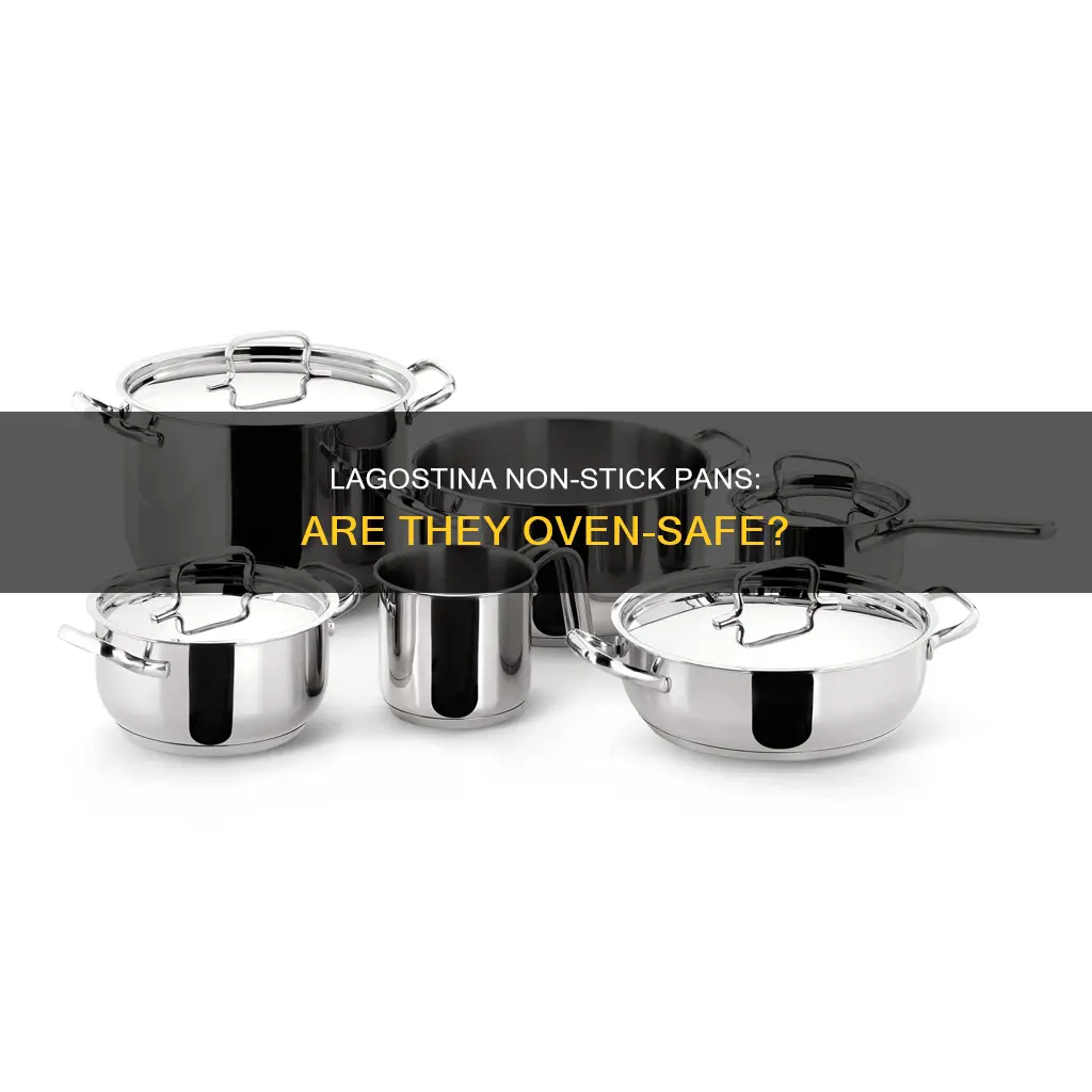 can lagostina non stick pans go in the oven