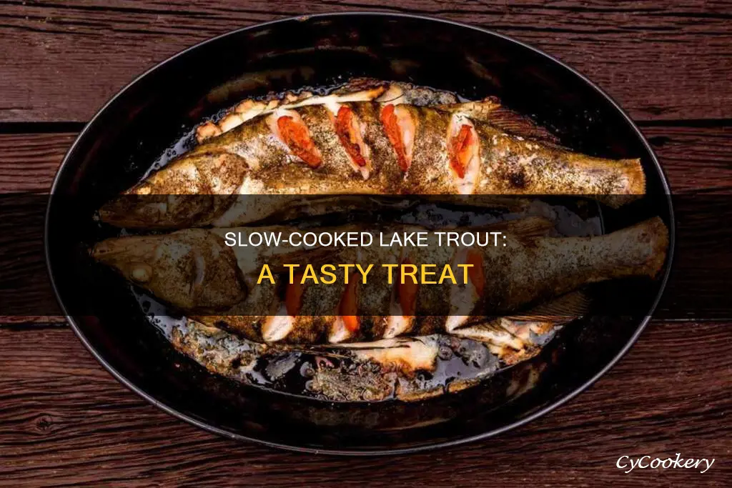 can lake trout be cooked in slow pot cooker recipes