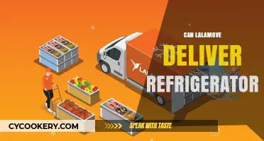 Can Lalamove Deliver a Refrigerator? Exploring Large Item Delivery Options