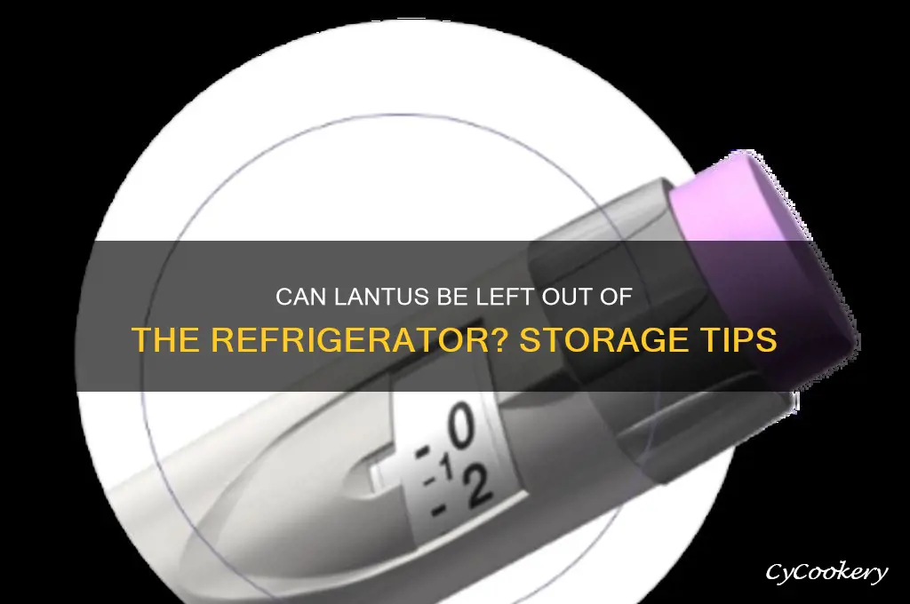 can lantus be left out of refrigerator