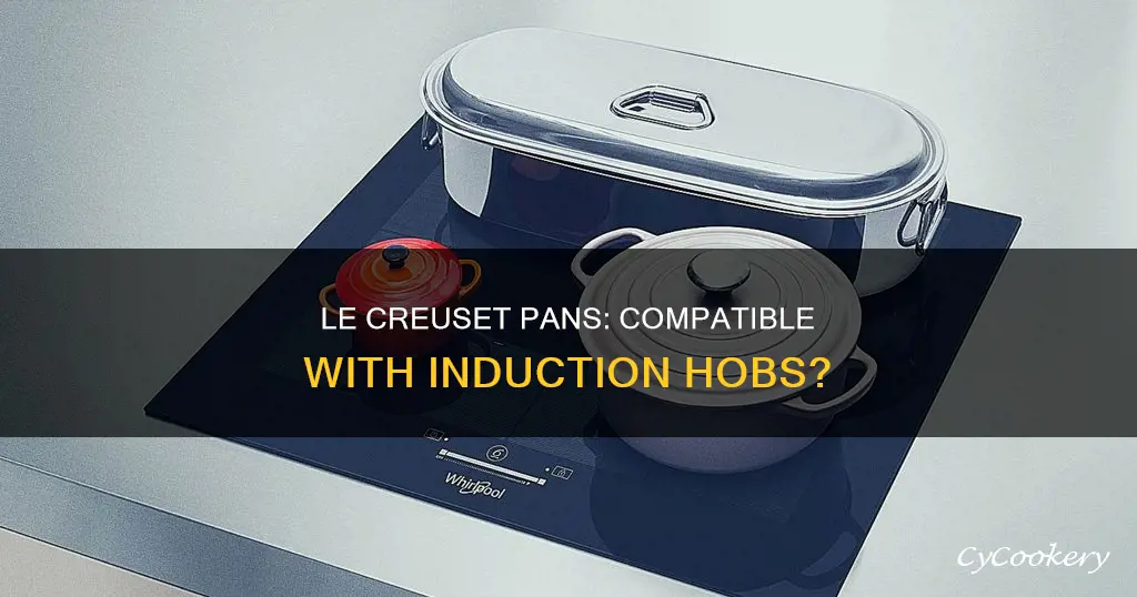 can le creuset pans be used on induction hobs